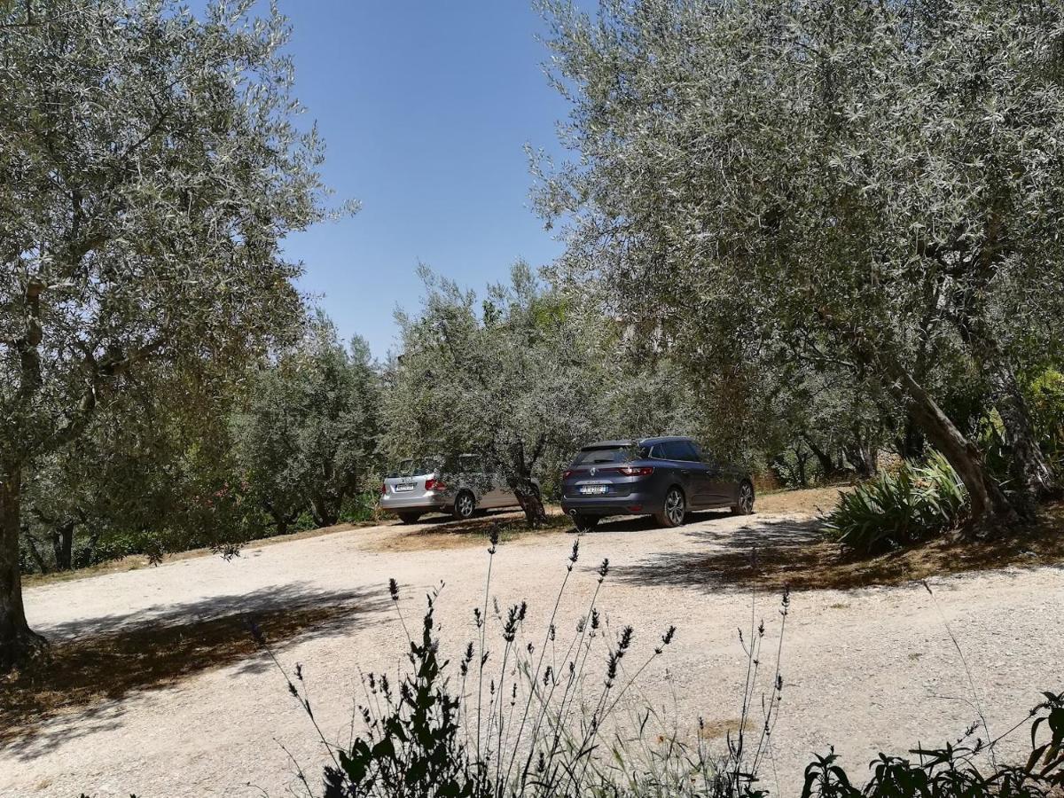 Casa Vacanze "Alcentro" Assisi Exterior photo